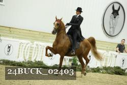 24BUCK_02403 proof