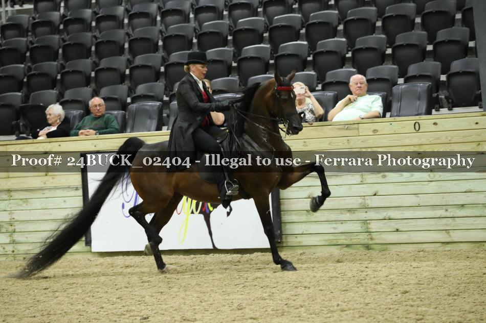 Proof 24BUCK_02404