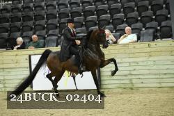 24BUCK_02404 proof