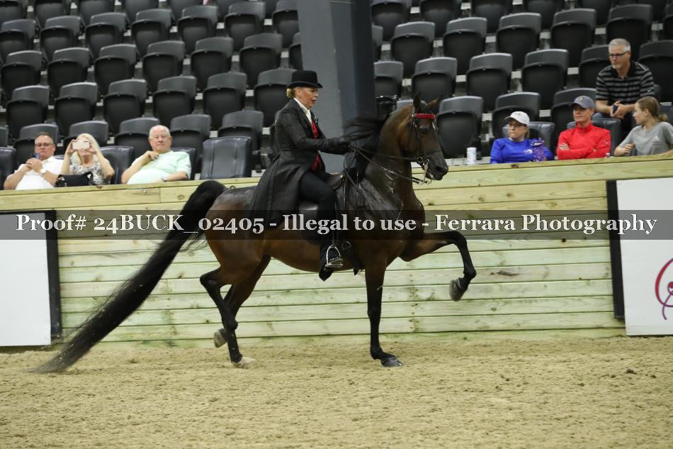 Proof 24BUCK_02405