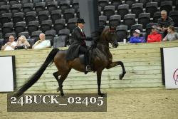 24BUCK_02405 proof