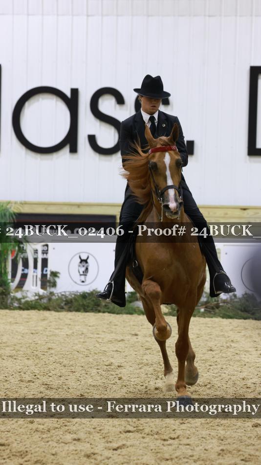 Proof 24BUCK_02406