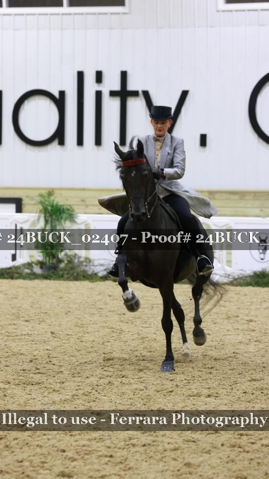 Proof 24BUCK_02407