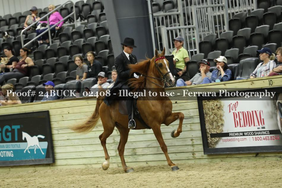 Proof 24BUCK_02408