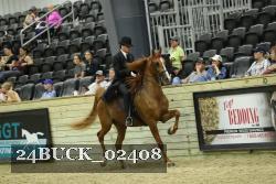 24BUCK_02408 proof