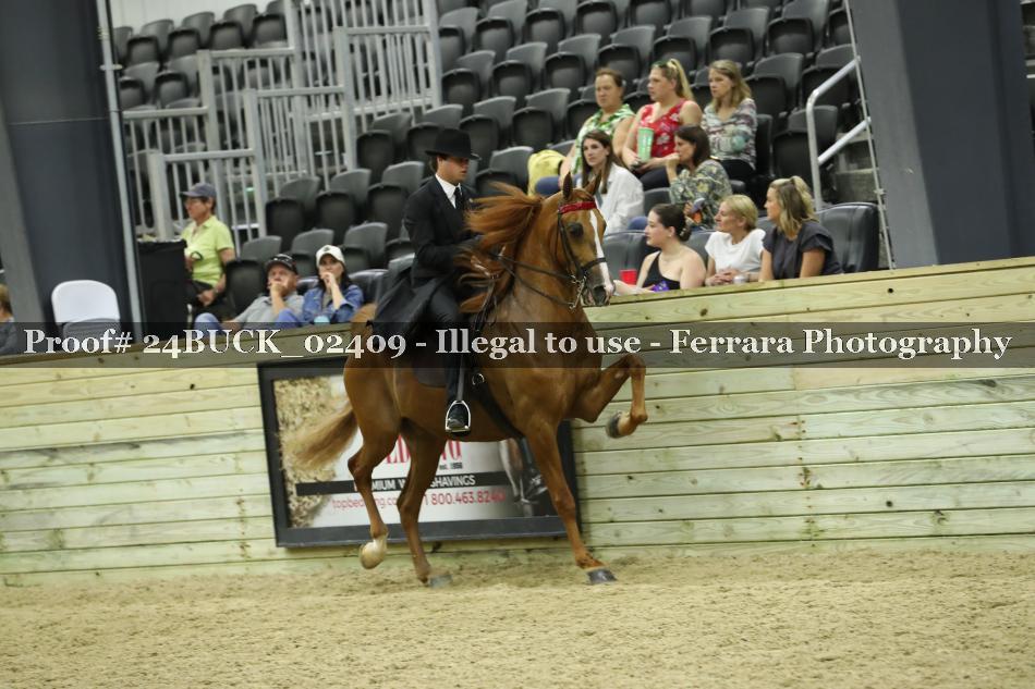 Proof 24BUCK_02409