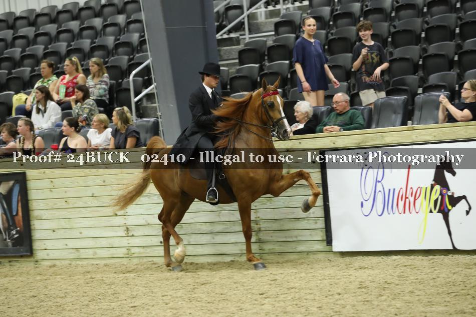 Proof 24BUCK_02410