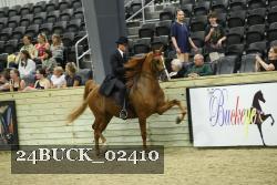 24BUCK_02410 proof