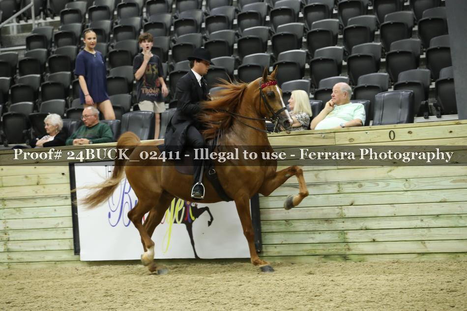Proof 24BUCK_02411