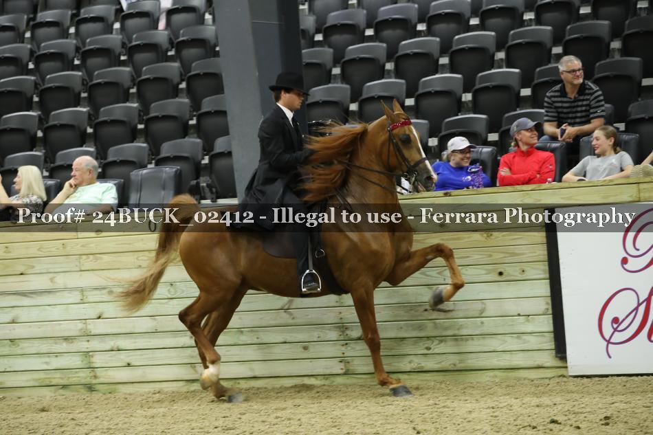 Proof 24BUCK_02412