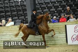 24BUCK_02412 proof