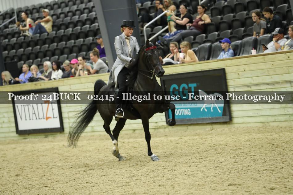 Proof 24BUCK_02415