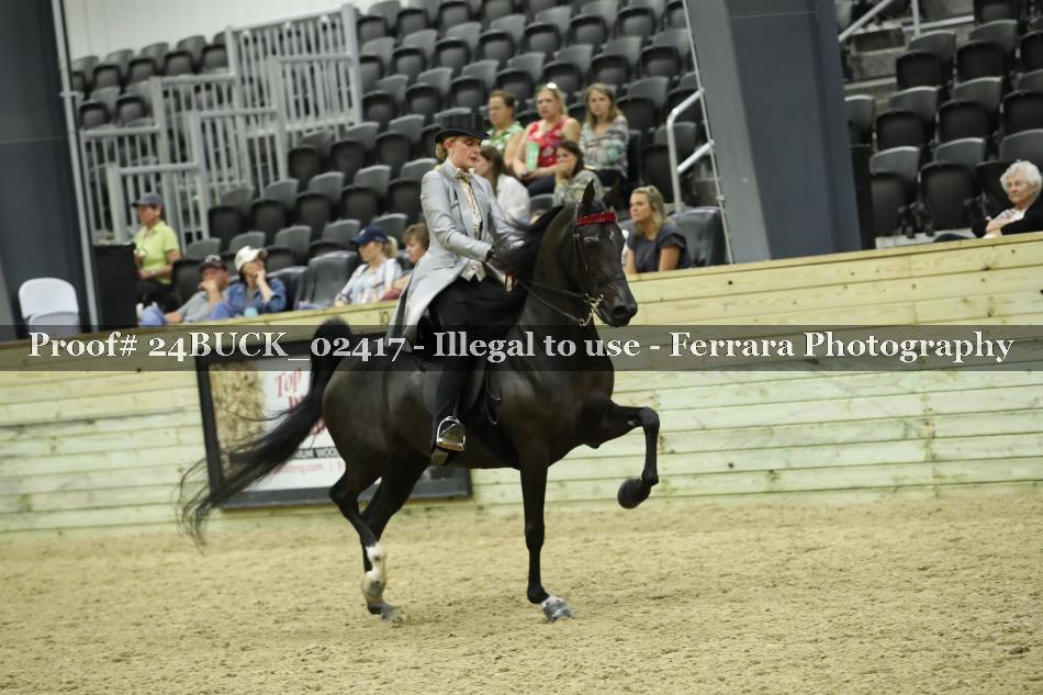Proof 24BUCK_02417