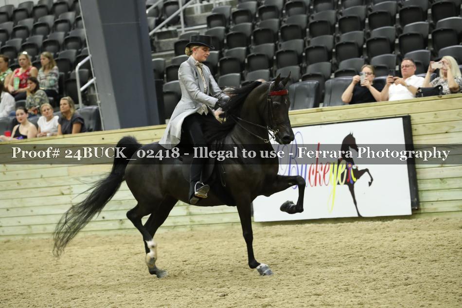 Proof 24BUCK_02418