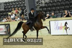 24BUCK_02422 proof