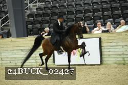 24BUCK_02427 proof