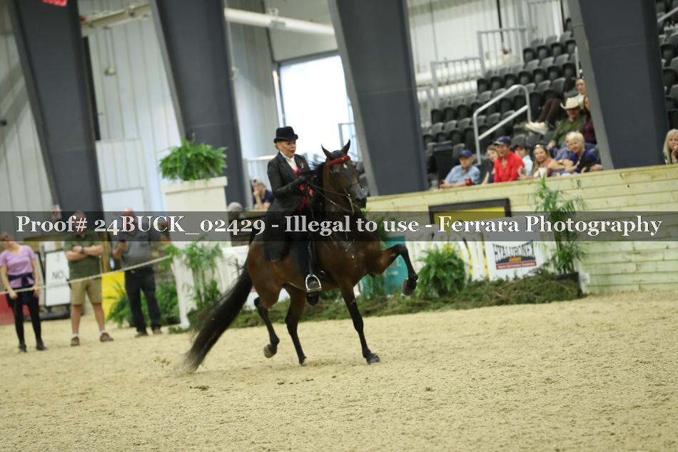 Proof 24BUCK_02429