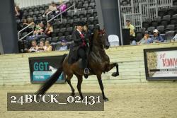 24BUCK_02431 proof