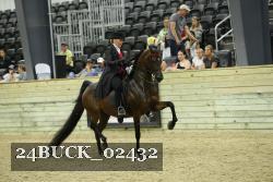 24BUCK_02432 proof