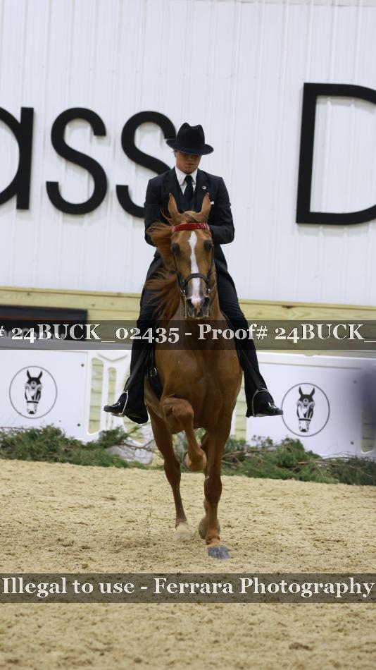 Proof 24BUCK_02435