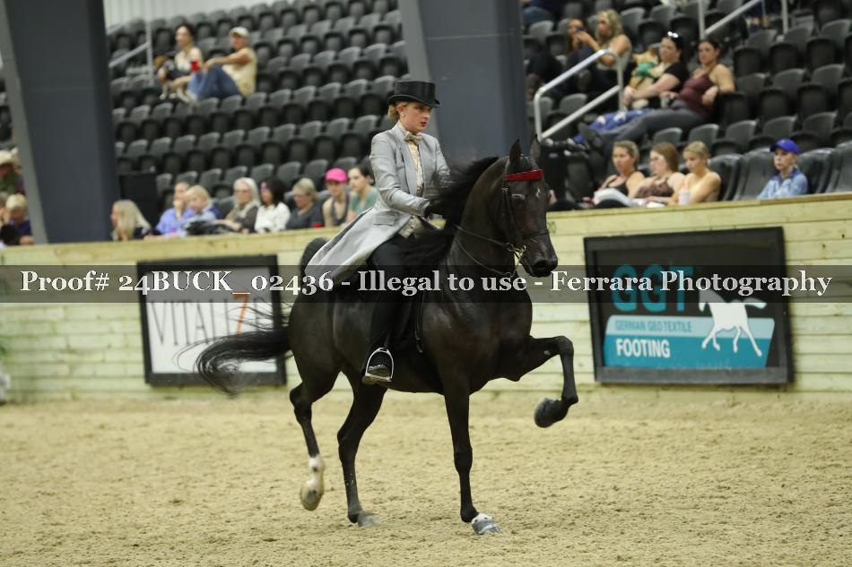 Proof 24BUCK_02436