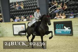 24BUCK_02436 proof