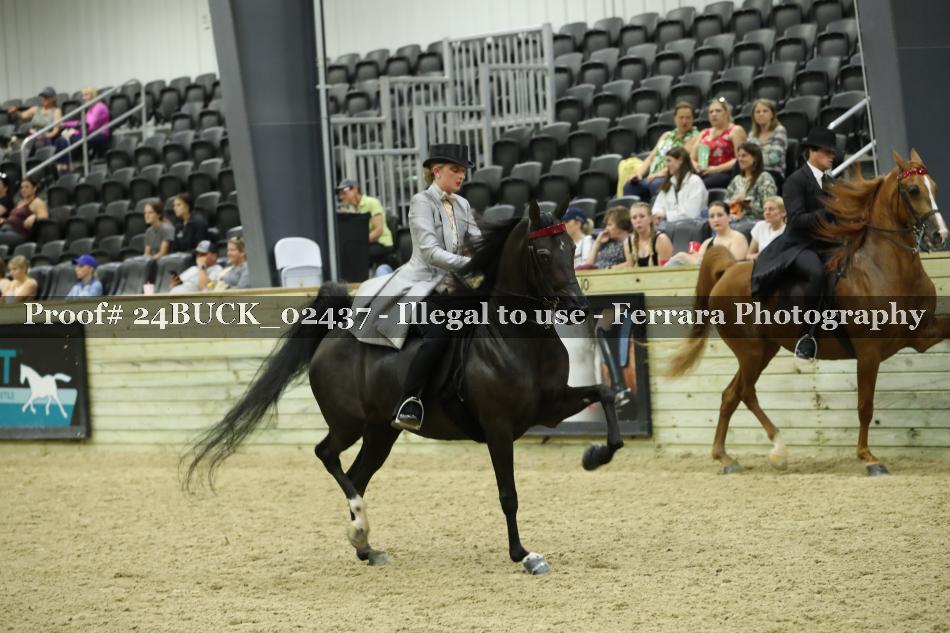 Proof 24BUCK_02437