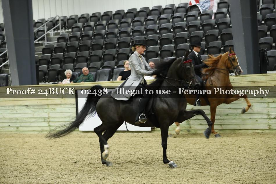 Proof 24BUCK_02438