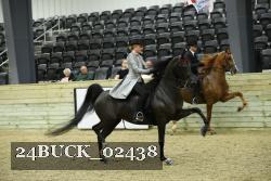 24BUCK_02438 proof