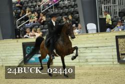 24BUCK_02440 proof