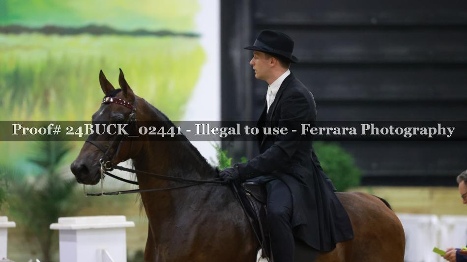 Proof 24BUCK_02441