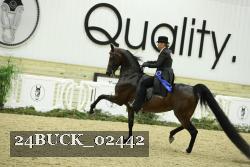 24BUCK_02442 proof