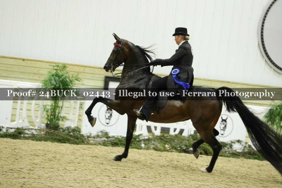 Proof 24BUCK_02443