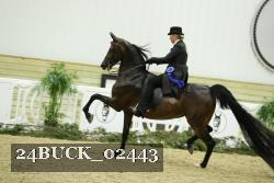 24BUCK_02443 proof