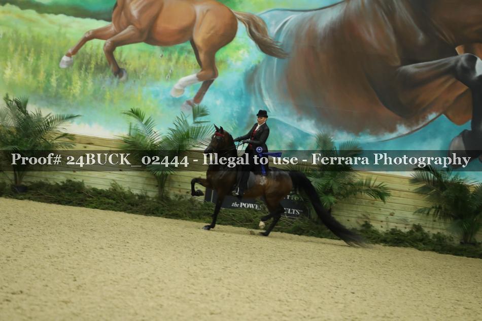 Proof 24BUCK_02444