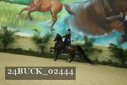 24BUCK_02444 proof