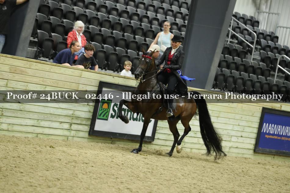 Proof 24BUCK_02446