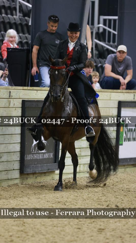 Proof 24BUCK_02447