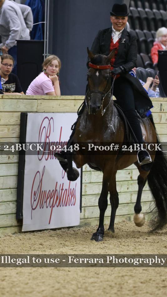 Proof 24BUCK_02448