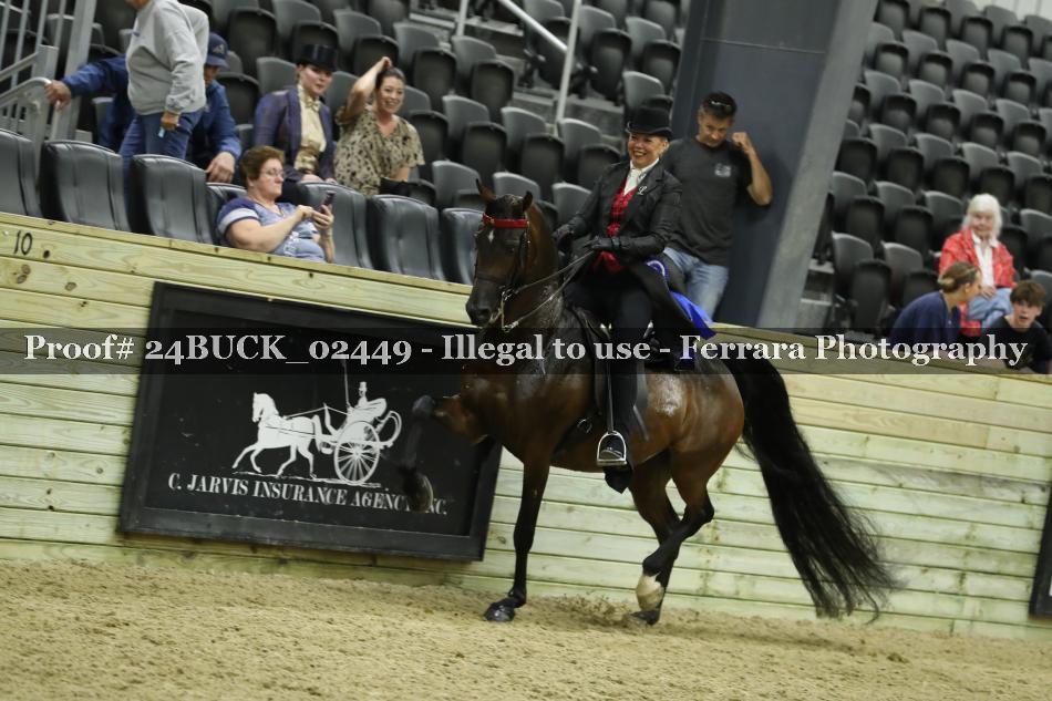 Proof 24BUCK_02449