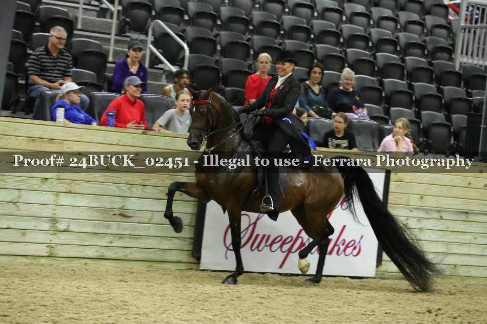 Proof 24BUCK_02451