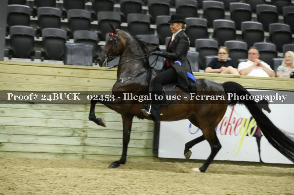 Proof 24BUCK_02453