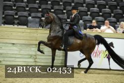24BUCK_02453 proof