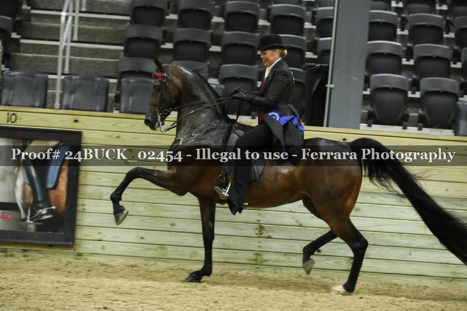 Proof 24BUCK_02454