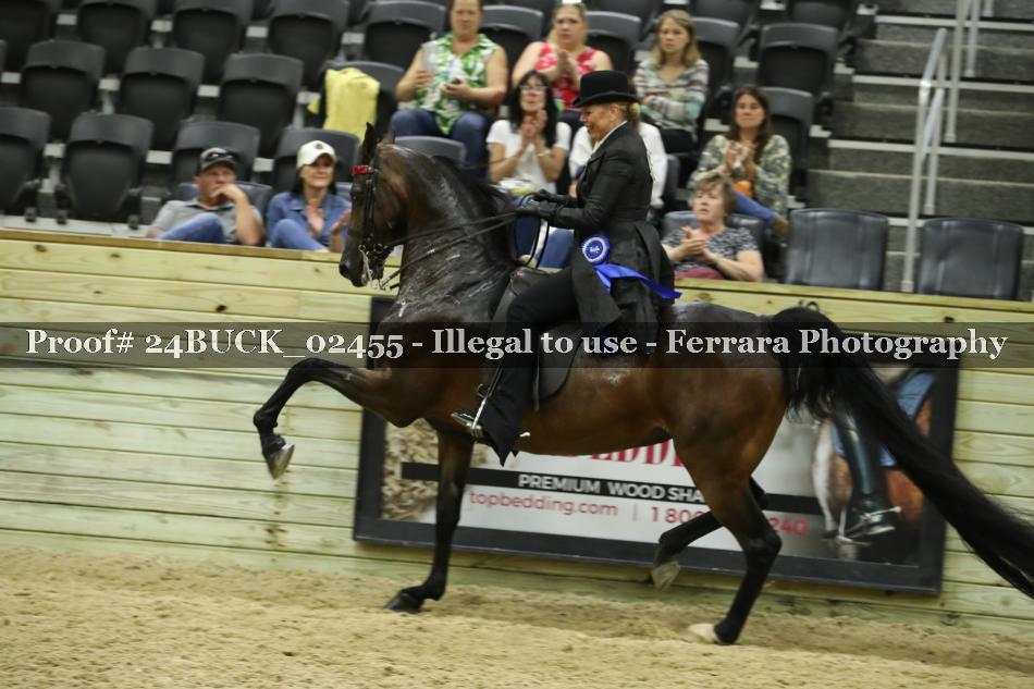 Proof 24BUCK_02455