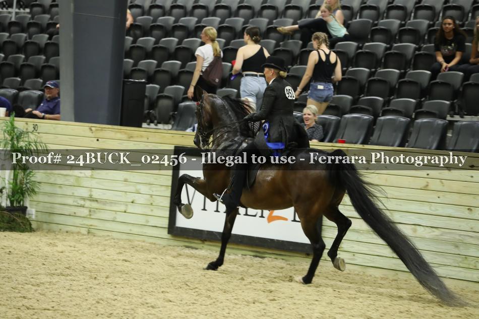 Proof 24BUCK_02456