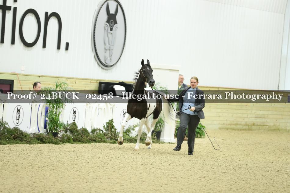Proof 24BUCK_02458