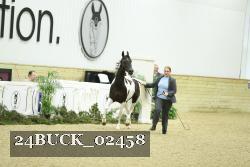 24BUCK_02458 proof