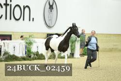 24BUCK_02459 proof