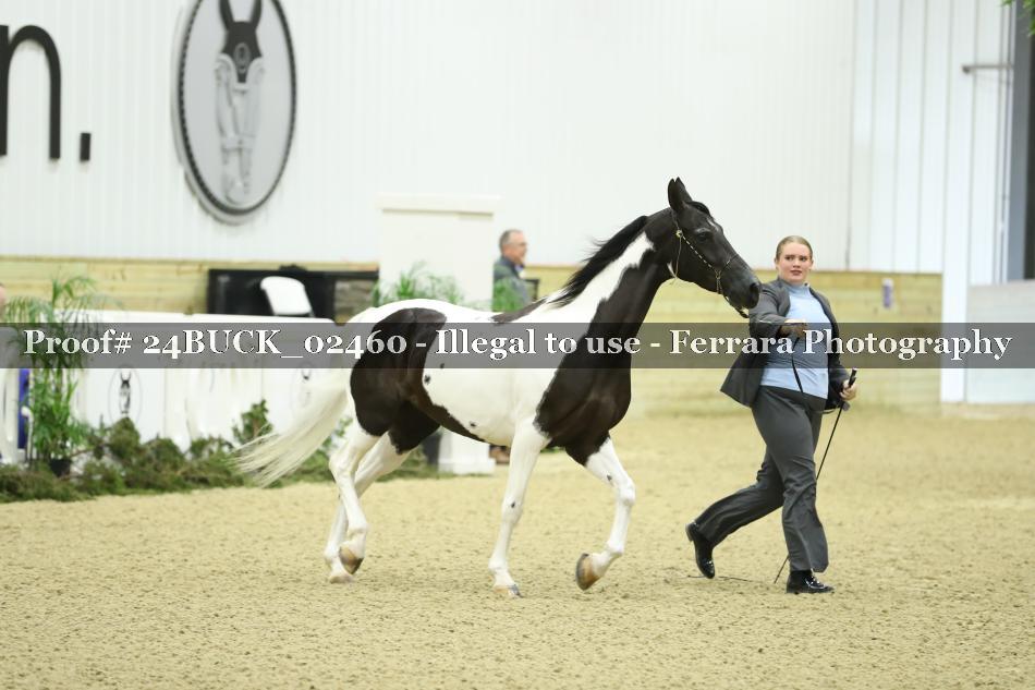 Proof 24BUCK_02460